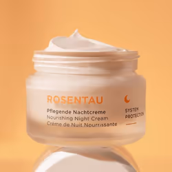 Annemarie Börlind Rose Dew Nourishing Night Cream Crema da notte Viso 50 ml - Vista aggiuntiva 4