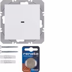 Berker 85655289, dC, Grigio