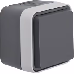 Berker 47633505, Tipo F, Viti, Grigio, Termoplastica, Opaco, IP55