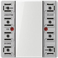 JUNG LS 5224 TSM