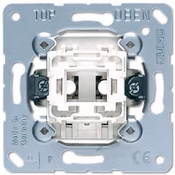 JUNG 507 U, Metallico, Bianco, 250 V, 10 A