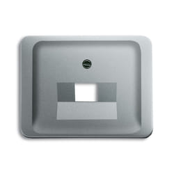 Busch-Jaeger 1710-0-3348 Placca copripresa e copri interruttori Titanio