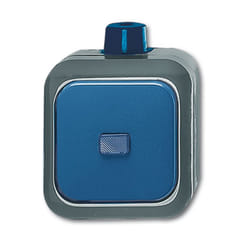 Busch-Jaeger 2601/6 WDI Blu, Grigio