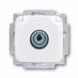 Busch-Jaeger 20 EUKSL-214-101, SC, 2P+E, Bianco, 250 V, 16 A, 71 mm