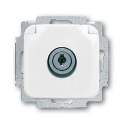 Busch-Jaeger 20 EUKSL-214-101 presa energia SC Bianco