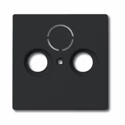 Busch-Jaeger 1743-81, Antracite, Tradizionale, Busch-Jaeger, 0230-0-0250, SAT + TV + Radio, 63 mm