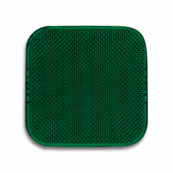 Busch-Jaeger 2526-13, Verde
