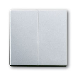 Busch-Jaeger 1751-0-2942 interruttore della luce Argento