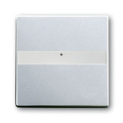 Busch-Jaeger 1764 NLI-83 Argento