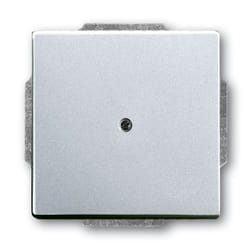 Busch-Jaeger 1710-0-3664 Placca copripresa e copri interruttori Alluminio