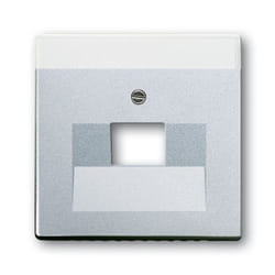 Busch-Jaeger 1710-0-3674 Placca copripresa e copri interruttori Alluminio