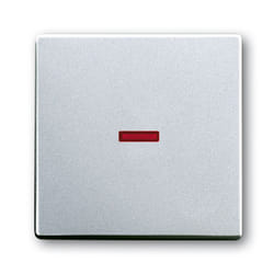 Busch-Jaeger 1751-0-2951 interruttore della luce Acciaio inox