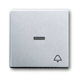 Busch-Jaeger 1751-0-2952 interruttore della luce Acciaio inox