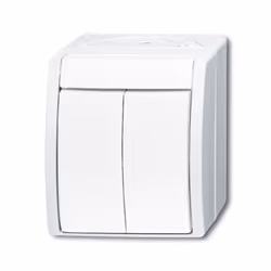 Busch-Jaeger 2601/5 W-54, 2P, Bianco, 250 V, 10 A, 74 mm, 55 mm