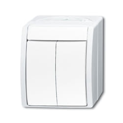 Busch-Jaeger 2601/5 W-54 2P Bianco