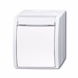 Busch-Jaeger 2601/6 WN-54, 1P, Bianco, 250 V, 10 A, 74 mm, 55 mm