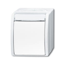Busch-Jaeger 2601/6 WN-54 1P Bianco