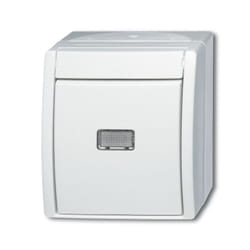 Busch-Jaeger 1484-0-0377 interruttore della luce Bianco