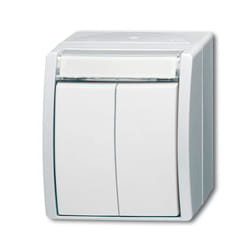 Busch-Jaeger 1484-0-0379 interruttore della luce Bianco
