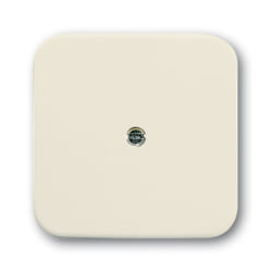 Busch-Jaeger 1724-0-0244 Placca copripresa e copri interruttori Bianco