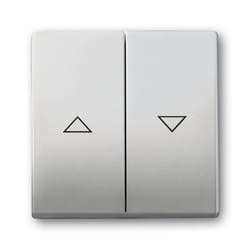 Busch-Jaeger 1751-0-2964 interruttore della luce Acciaio inox