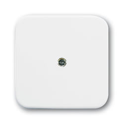 Busch-Jaeger 1724-0-0921 Placca copripresa e copri interruttori Bianco
