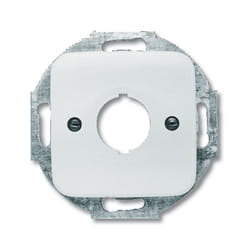 Busch-Jaeger 1724-0-1168 Placca copripresa e copri interruttori Argento, Bianco