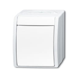 Busch-Jaeger 1484-0-0380 interruttore della luce Bianco
