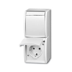 Busch-Jaeger 20-02 EWN-54 presa energia CEE 7/3 Bianco