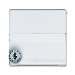 Busch-Jaeger 2118 GKSLN/11-34 Bianco