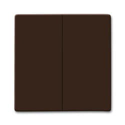 Busch-Jaeger 2105-31 Marrone
