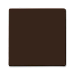 Busch-Jaeger 2106-31 Marrone