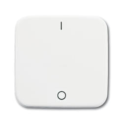 Busch-Jaeger 2502-214 Bianco