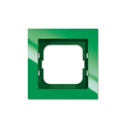 Busch-Jaeger 1721-286 Placca copripresa e copri interruttori Verde