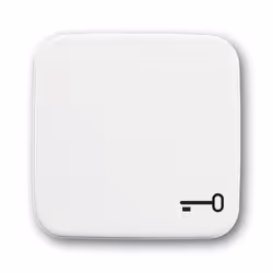 Busch-Jaeger 2520 TR-214, Bianco, Senza viti, Busch-Jaeger, 54 mm, 54 mm, 1 pz