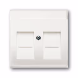 Busch-Jaeger 1710-0-3887, Bianco, Tradizionale, Ogni marca, 63 mm, 63 mm, 1 pz