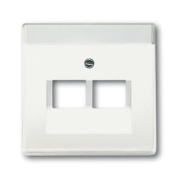 Busch-Jaeger 1710-0-3888 Placca copripresa e copri interruttori Bianco