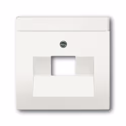 Busch-Jaeger 1710-0-3889, Bianco, Tradizionale, Ogni marca, 63 mm, 63 mm, 1 pz
