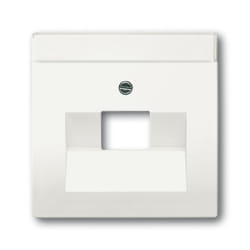 Busch-Jaeger 1710-0-3889 Placca copripresa e copri interruttori Bianco