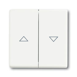 Busch-Jaeger 1751-0-3022 interruttore della luce Plastica Bianco