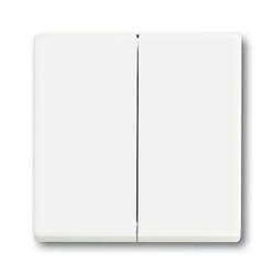 Busch-Jaeger 1751-0-3024 interruttore della luce Plastica Bianco