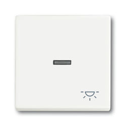 Busch-Jaeger 1751-0-3031 interruttore della luce Plastica Bianco