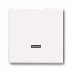 Busch-Jaeger 6599-0-2963, Pulsanti, Bianco, 63 mm, 63 mm, 1 pz