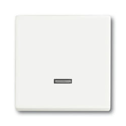 Busch-Jaeger 6599-0-2963 interruttore della luce Bianco