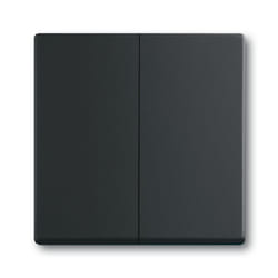 Busch-Jaeger 1751-0-3038 interruttore della luce Plastica Nero