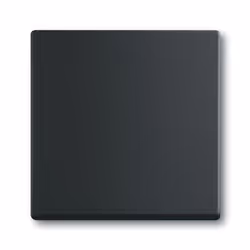 Busch-Jaeger 1751-0-3041, Pulsanti, Nero, Plastica, 63 mm, 63 mm, 1 pz