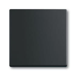 Busch-Jaeger 1751-0-3041 interruttore della luce Plastica Nero