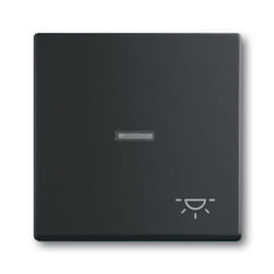 Busch-Jaeger 1751-0-3045 interruttore della luce Plastica Nero