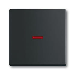 Busch-Jaeger 1751-0-3047 interruttore della luce Plastica Nero