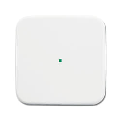Busch-Jaeger 6220-0-0078 supporto per rilevatore e piastra copribase Bianco
